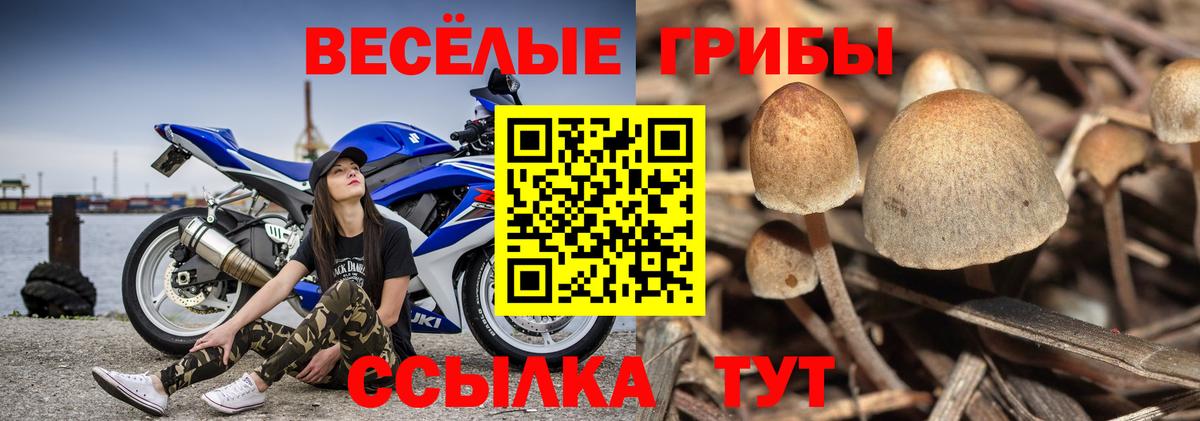 Галлюциногенные грибы ЛСД  Вход с VPN  Рославль 